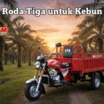 HTM motor roda tiga untuk kebun sawit