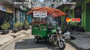 Motor Roda Tiga untuk Ubi Cilembu: HTM Motor, Pilihan Paling Jos untuk Usaha Kamu!